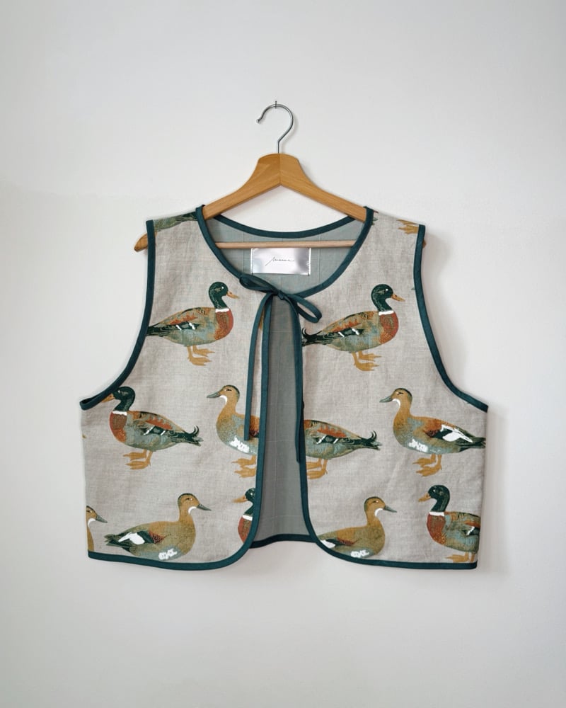 Image of n a n o v o  vesta 001