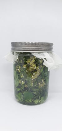 Image 4 of The Yarrow Companion Kit : PreOrder