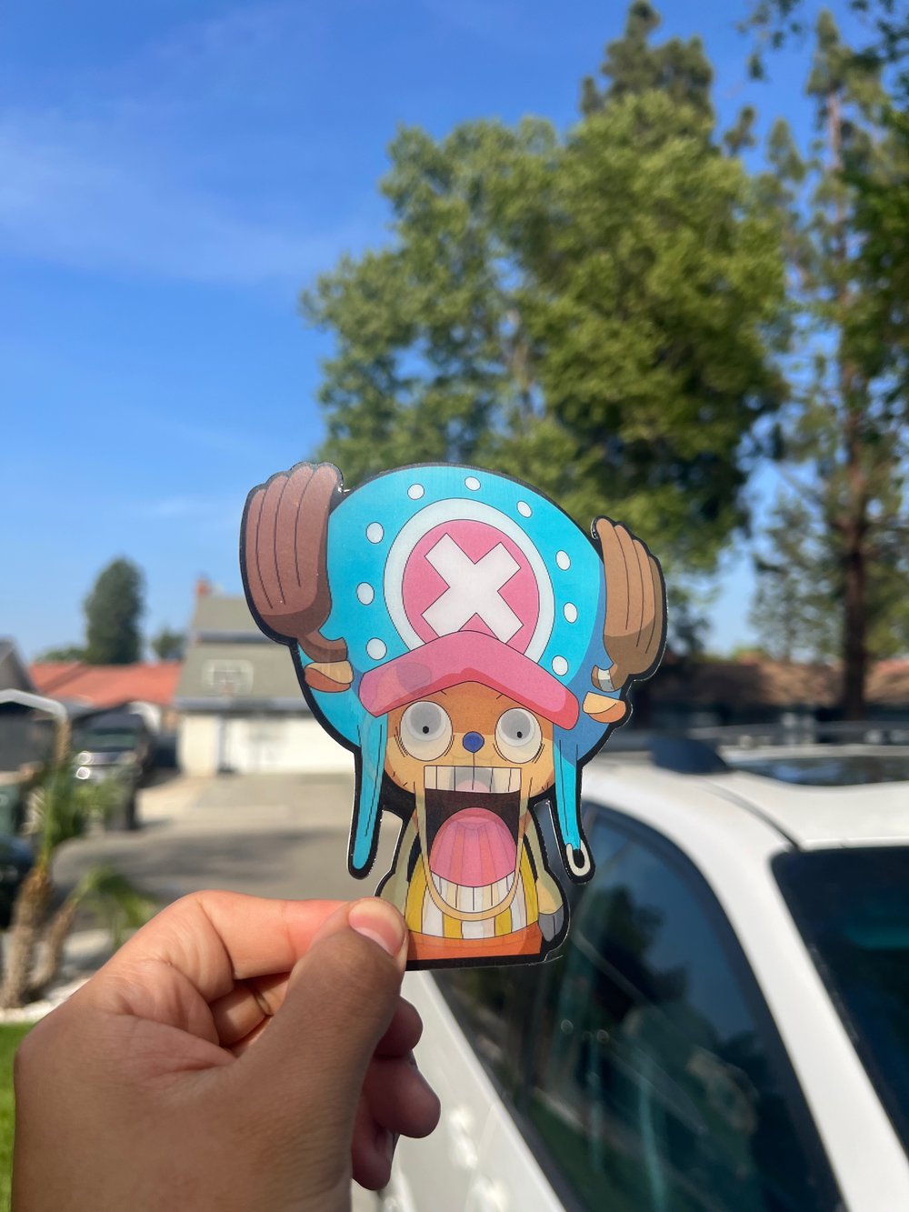 One piece Stickers