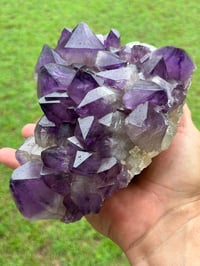 Image 14 of Amethyst Points Cluster | Congo #2868
