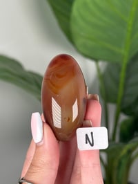 Image 14 of CARNELIAN SHIVAS