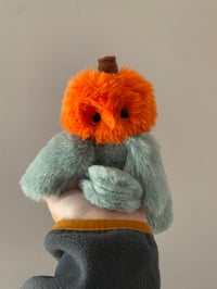 Pecan The Pumpkin