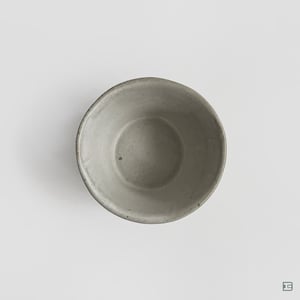 Ikuyo Wakabayashi Cup No.857