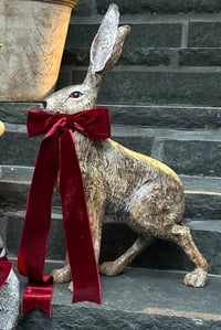 Image 1 of Hare - Standing