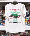 Grateful Dead 1987 Dylan and the Dead Lot T-Shirt - Fits L