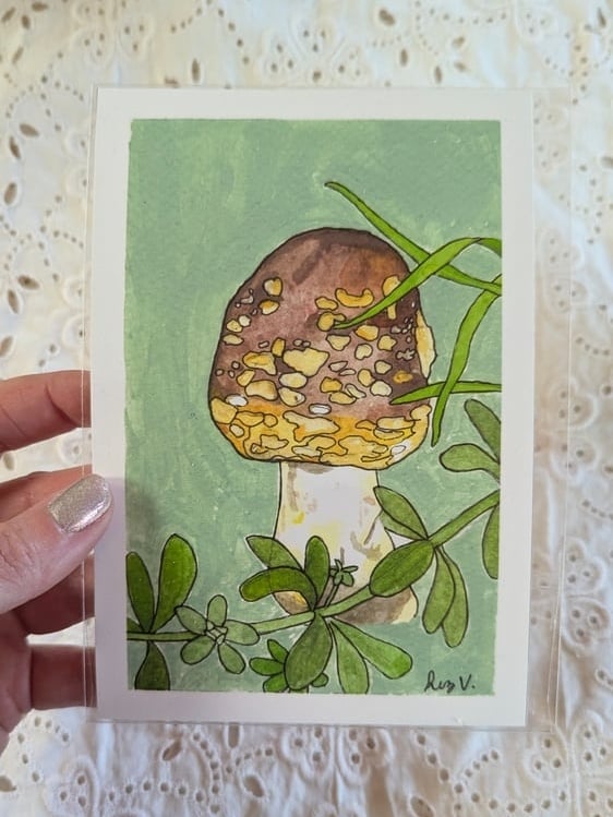 Image of Amanita augusta & Cleavers - Print