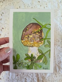 Image 1 of Amanita augusta & Cleavers - Print