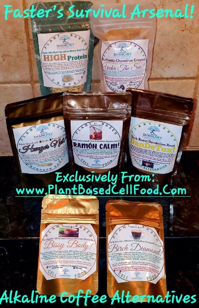 FASTERS SURVIVAL ARSENAL! Appetite Suppressant-Energy-Sleep-Headache-Gut Bundle