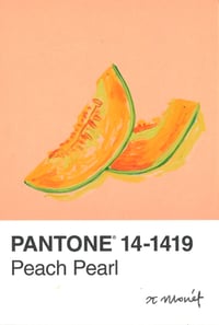 Cantaloupe Pantone