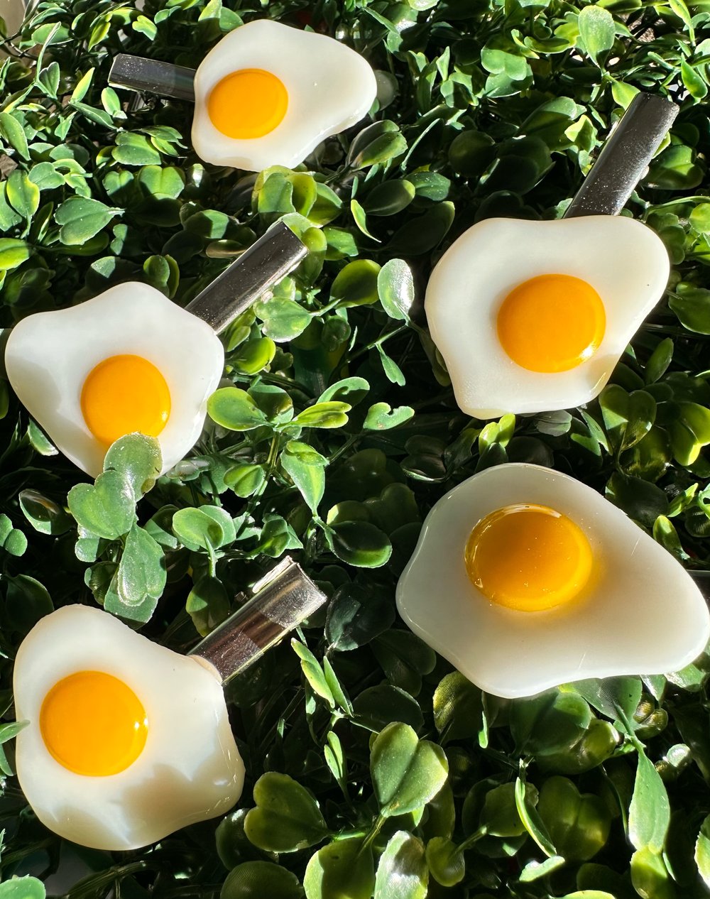 Image of egg clip