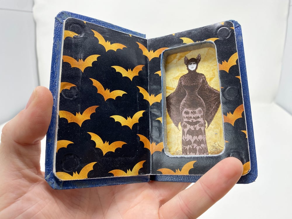 Image of Pocket Bible Joint Case (bat mommy)