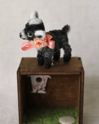 Image 2 of pipe cleaner Pepper the dwarf goat