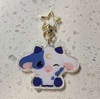 Sally-Mae acrylic charm 