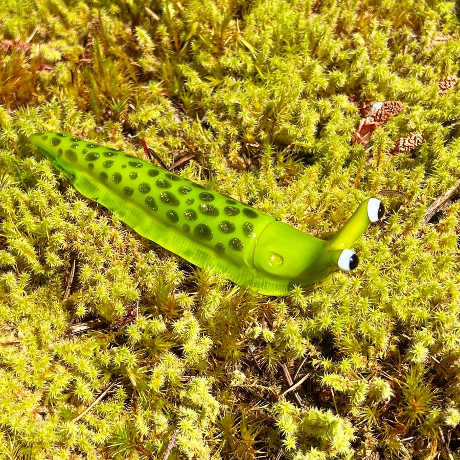 Image of Chartreuse Boro Slug