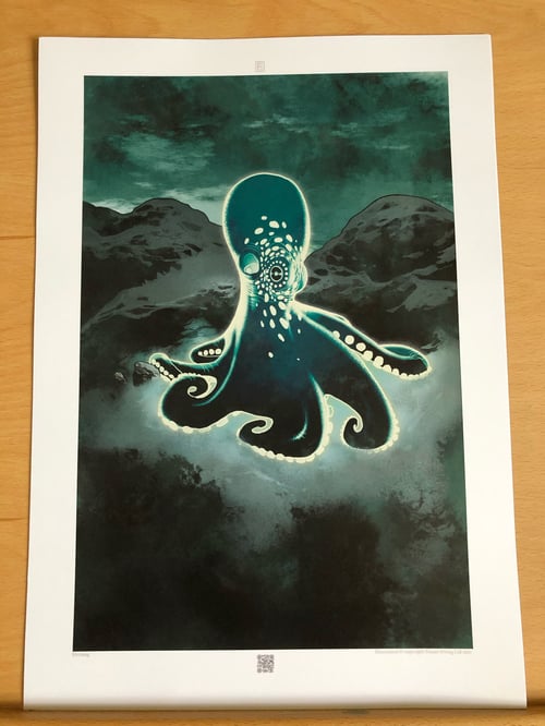 Image of Octopus 01