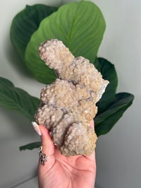 Image 1 of SELF STANDING SPARKLY APOPHYLITE STALACTITES -INDIA- G