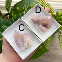Image 3 of Spirit Quartz Clusters