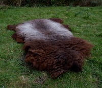 Image 2 of Harting Black Sheepskin #11