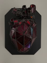 Image 2 of Anatomical Heart Taxidermy
