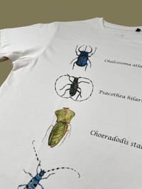 Image 2 of T-shirt INSECTA
