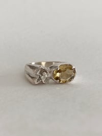 Image 2 of Golden Hour