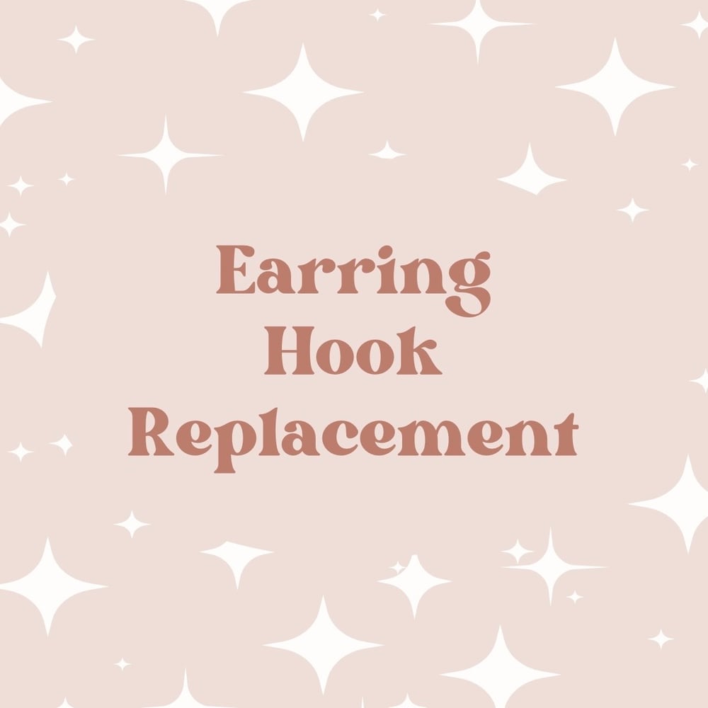 Image of Earring Hook Replacement