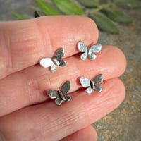 Image 3 of Moth Studs
