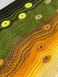 Image 6 of Bull Trout V2 by Mikie