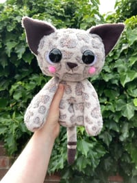 Image 1 of Fifi the Jumbo Kitty