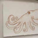 Image 2 of £50 originals - Octopus watercolour & tea