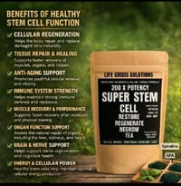 Image 1 of 200 X POTENCY SUPER STEM CELL TEA AND CAPSULES 