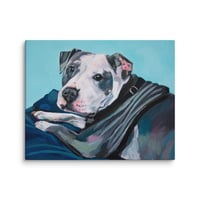Image 3 of Lazy Pitbull