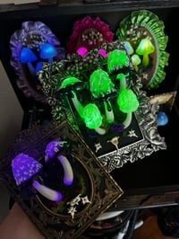 Image 2 of Inky cap frame led