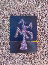 Image 2 of chain fruit 