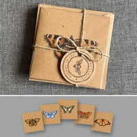 Image 4 of 5 Card Notelet/Greeting card set (various designs)