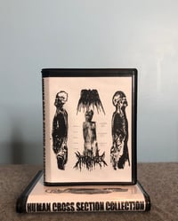 Image 3 of Meatshield / Aroma - Human Cross Section Collection Split CS