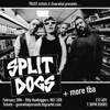 Split Dogs + more TBA @ Billy’s 