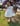 the Brianna dress 