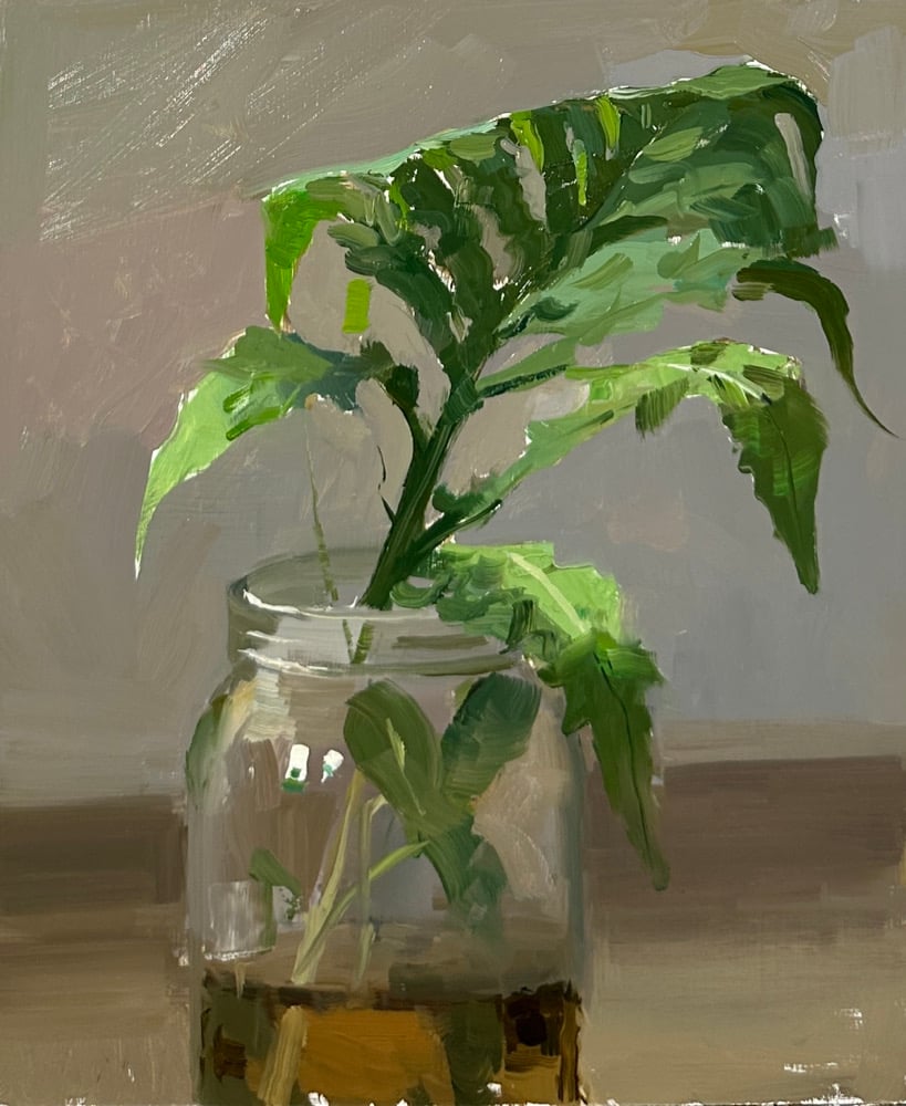 Image of Fern Sketch 