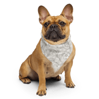 Image 5 of Blizzard Camo Unisex Bandana