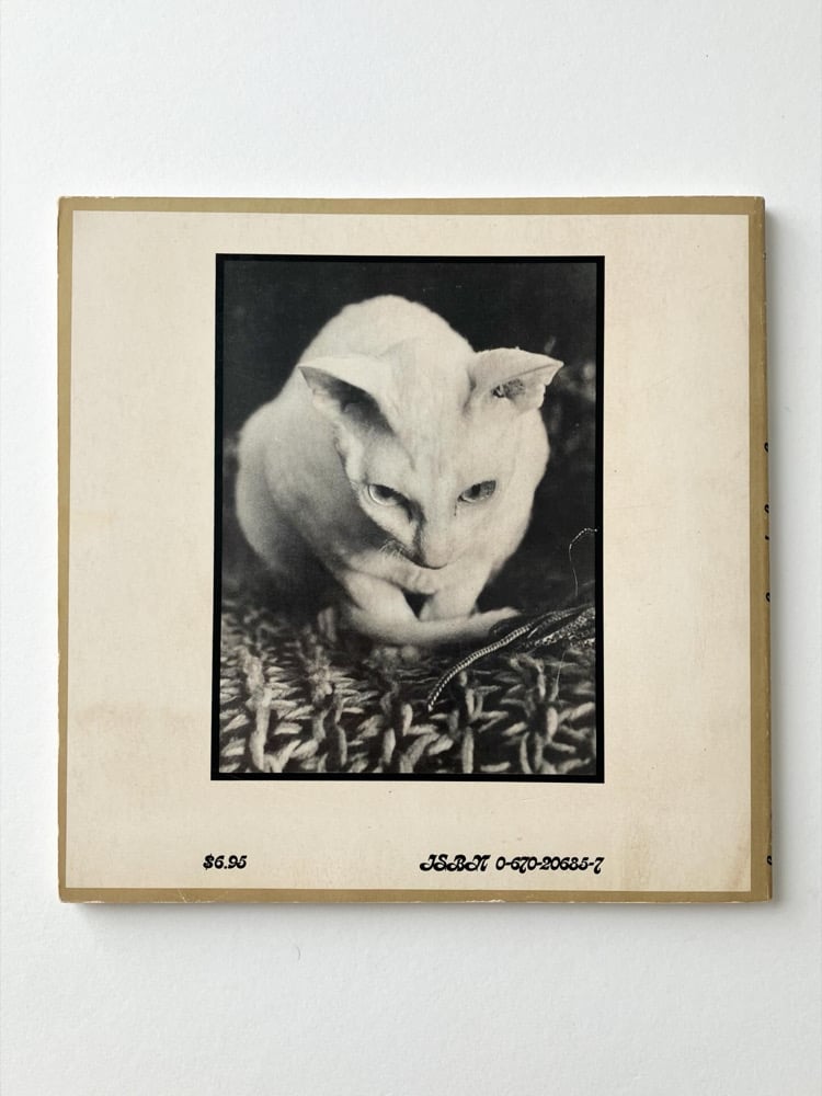 Categorically Speaking: Photographs Image 2