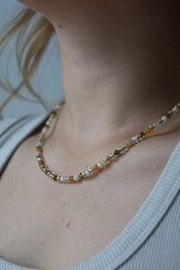 Image 2 of Tangerine Grove 