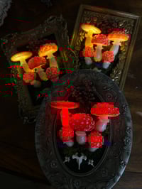 Image 1 of Amanita muscaria frame LED