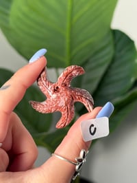 Image 3 of CHOOSE YOUR OWN MINI SOAPSTONE STARFISH