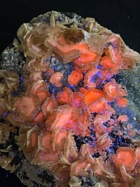 Image 12 of UV Cookie Calcite Specimen #1839