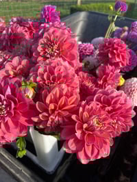 Image 3 of Milena Fleur - Decorative Type 