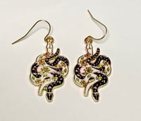 Snake lovers