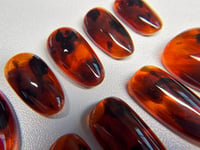 Image 3 of Classic Tortoiseshell Archive 