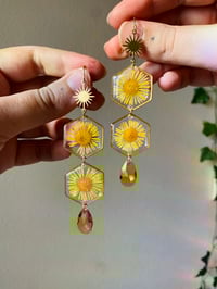 Image 1 of 🌼Daisy Nectarfall 🌼