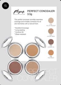 Image 1 of Perfect concealer 